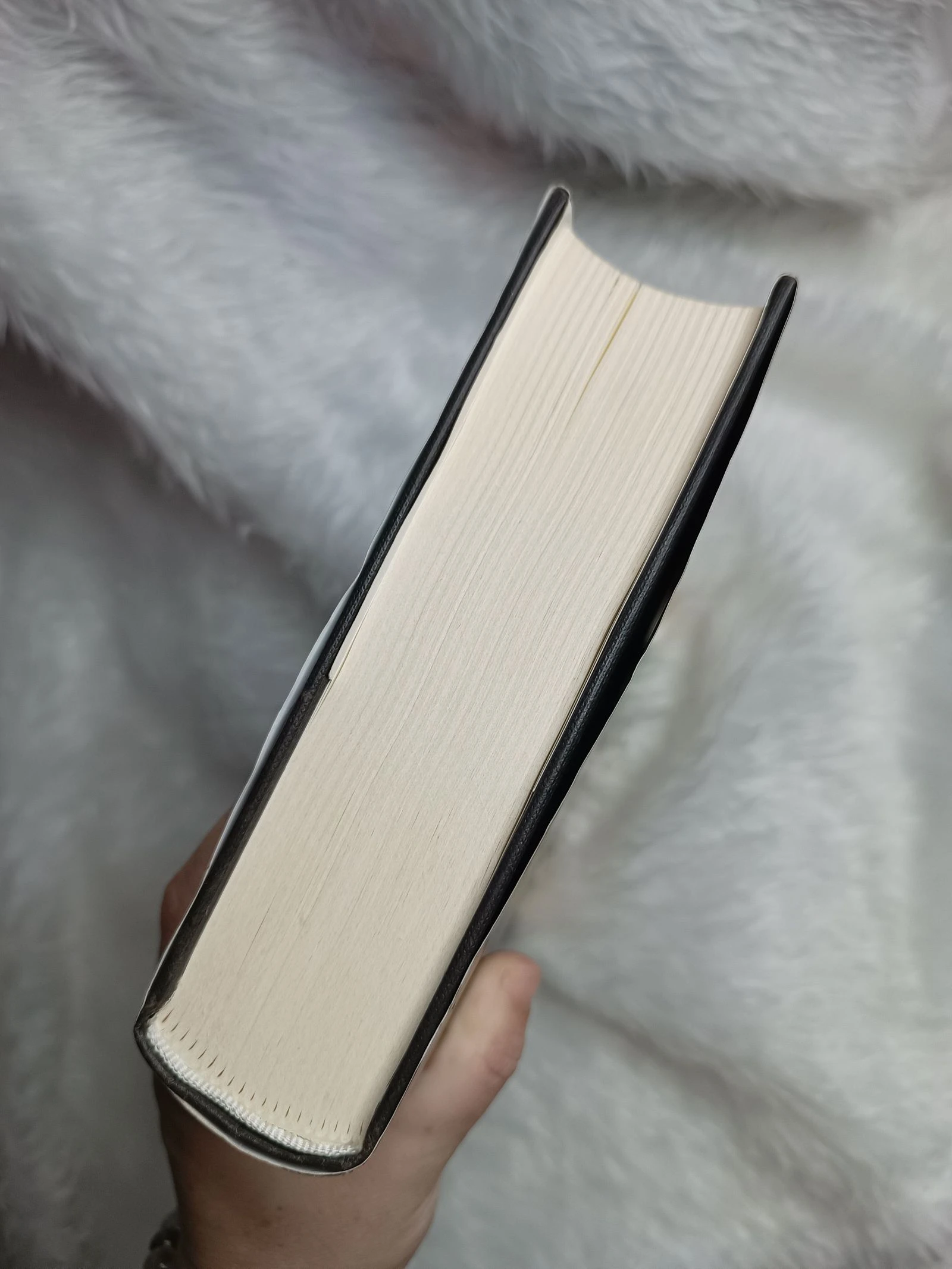 Boek De As van de Hemel – photo 6